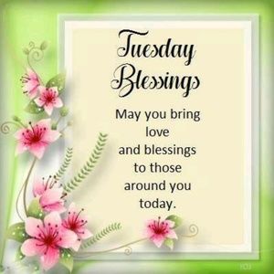 Meet your Posher, Alagie